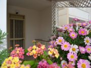 Locations vacances Lecce (Province De) pour 5 personnes: appartement n 102810