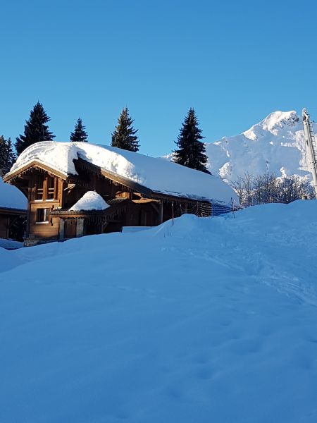 photo 18 Location entre particuliers Praz de Lys Sommand chalet Rhne-Alpes Haute-Savoie Vue extrieure de la location