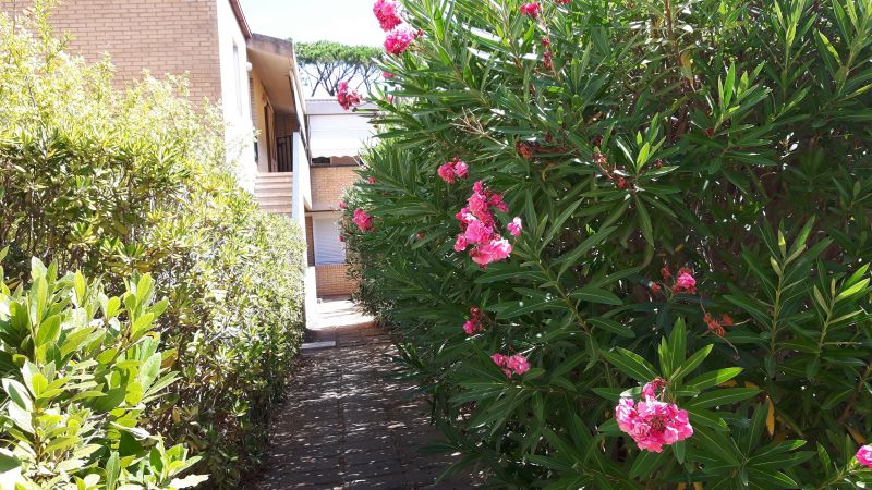 photo 11 Location entre particuliers Principina a Mare appartement Toscane Grosseto (province de) Entre