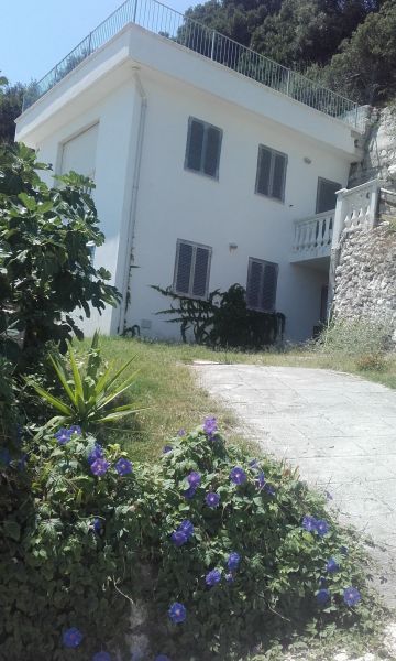 photo 4 Location entre particuliers Vieste villa Pouilles Foggia (province de)