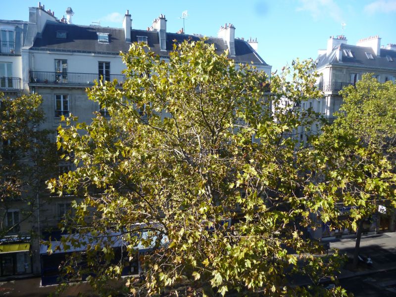 photo 7 Location entre particuliers PARIS appartement Ile-de-France Paris Vue depuis la location