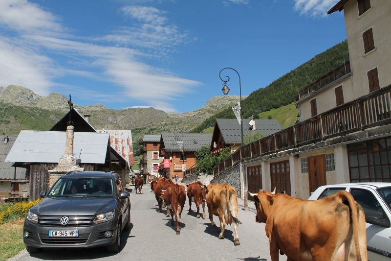 photo 14 Location entre particuliers Saint Sorlin d'Arves appartement Rhne-Alpes Savoie Vue autre