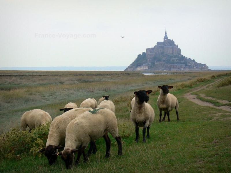 photo 22 Location entre particuliers Mont Saint Michel maison Basse-Normandie Manche Vue autre