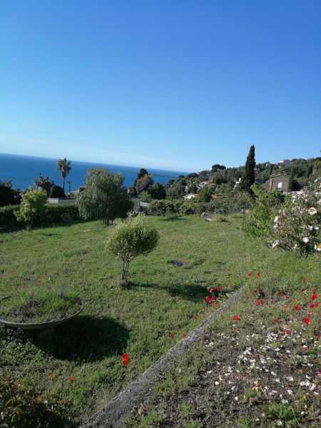 photo 22 Location entre particuliers Cannes villa Provence-Alpes-Cte d'Azur Alpes-Maritimes Jardin