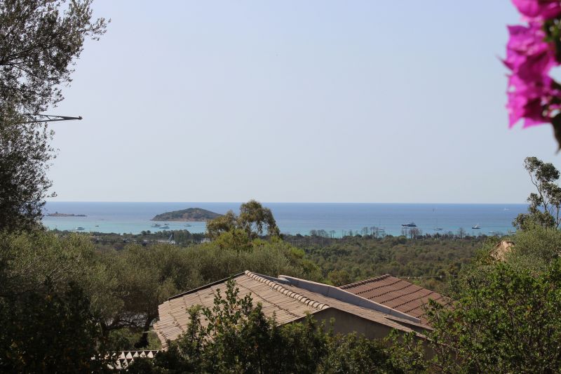 photo 3 Location entre particuliers Porto Vecchio villa Corse Corse du Sud Vue de la terrasse