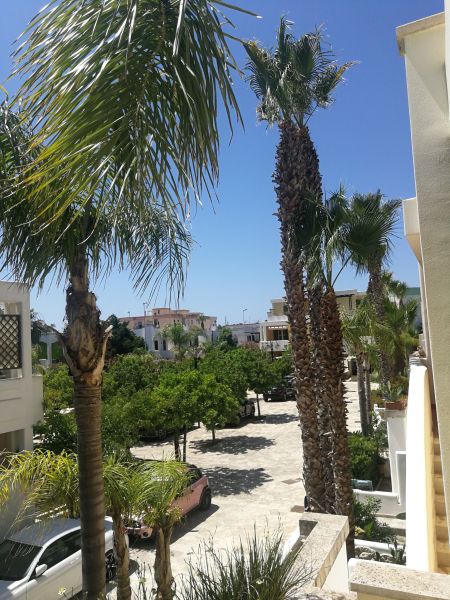 photo 1 Location entre particuliers Gallipoli appartement Pouilles  Vue du balcon