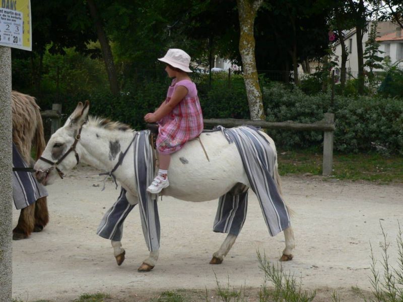 photo 26 Location entre particuliers Saint Martin de R appartement Poitou-Charentes Charente-Maritime