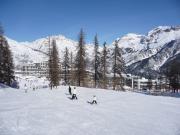 Locations station de ski: appartement n 67748