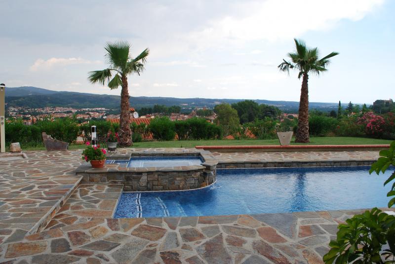 photo 5 Location entre particuliers Ceret appartement Languedoc-Roussillon Pyrnes-Orientales Piscine