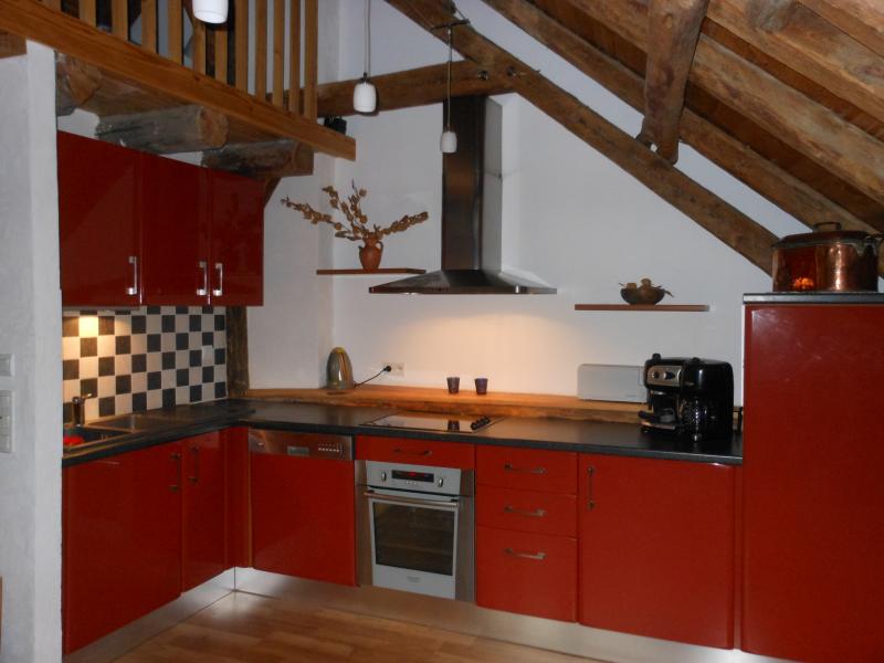 photo 12 Location entre particuliers Brianon appartement Provence-Alpes-Cte d'Azur Hautes-Alpes Cuisine amricaine