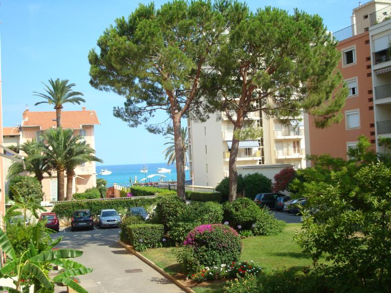 photo 1 Location entre particuliers Roquebrune Cap Martin appartement Provence-Alpes-Cte d'Azur Alpes-Maritimes Jardin