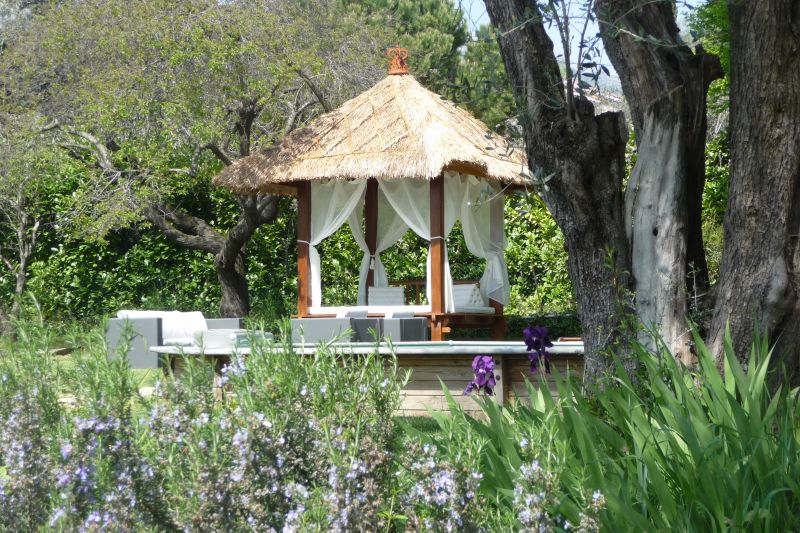 photo 16 Location entre particuliers Vence villa Provence-Alpes-Cte d'Azur Alpes-Maritimes Jardin