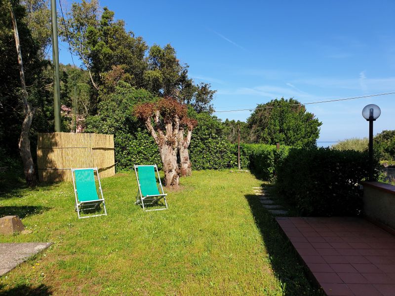 photo 4 Location entre particuliers Rio nell'Elba appartement Toscane Ile d'Elbe Jardin