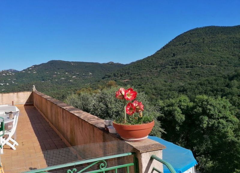 photo 20 Location entre particuliers Frjus appartement Provence-Alpes-Cte d'Azur Var Vue  proximit