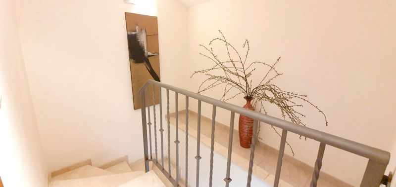 photo 14 Location entre particuliers Dnia appartement Communaut Valencienne Alicante (province de)