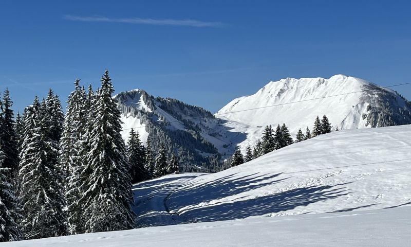 photo 2 Location entre particuliers La Clusaz studio Rhne-Alpes Haute-Savoie