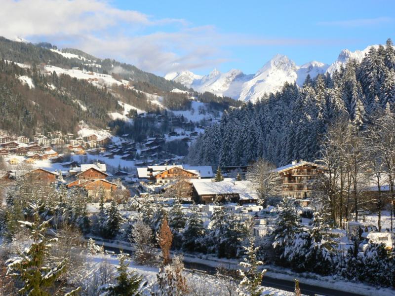 photo 10 Location entre particuliers Le Grand Bornand appartement Rhne-Alpes Haute-Savoie Vue depuis la location