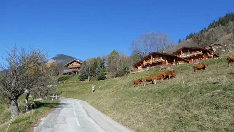 photo 27 Location entre particuliers Champagny en Vanoise appartement Rhne-Alpes Savoie