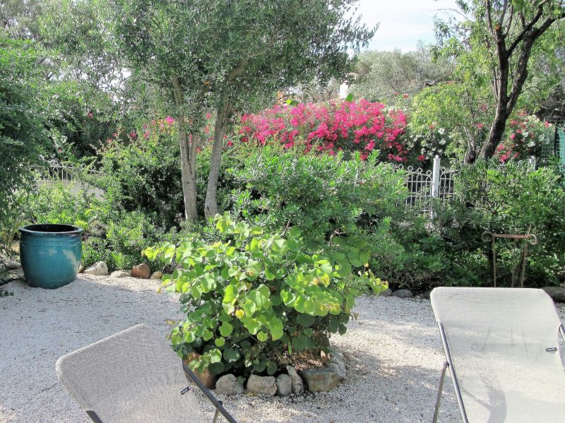 photo 10 Location entre particuliers Hyres villa Provence-Alpes-Cte d'Azur Var Jardin