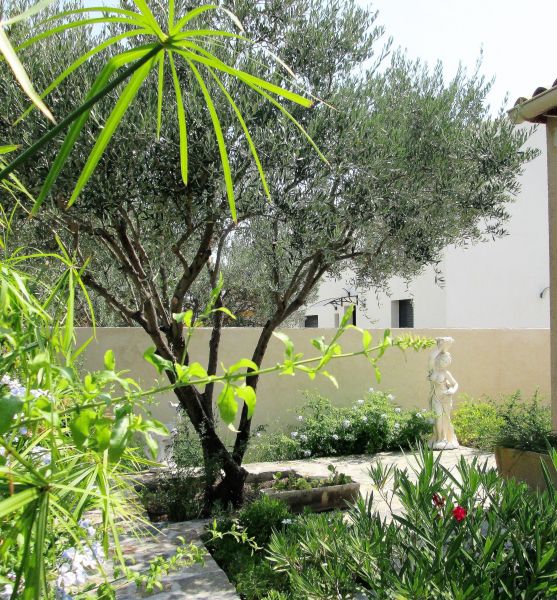 photo 6 Location entre particuliers Hyres villa Provence-Alpes-Cte d'Azur Var Jardin