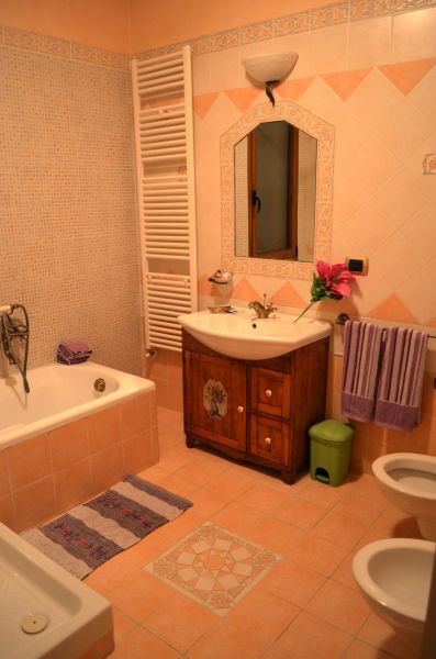 photo 6 Location entre particuliers San Gimignano appartement Toscane Sienne (province de) salle de bain