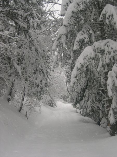 photo 21 Location entre particuliers Valmorel appartement Rhne-Alpes Savoie Vue  proximit