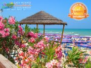 Locations vacances Alba Adriatica pour 3 personnes: studio n 84257