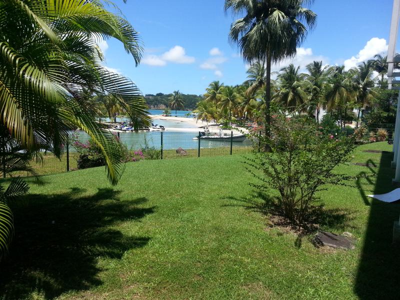 photo 16 Location entre particuliers Le Gosier (Guadeloupe) appartement Grande Terre  Jardin