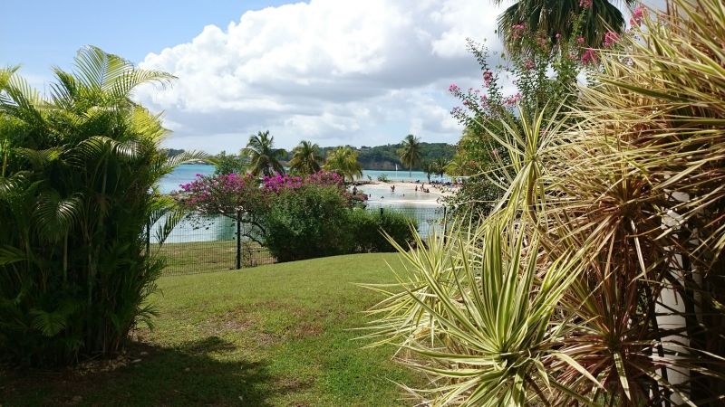 photo 17 Location entre particuliers Le Gosier (Guadeloupe) studio Grande Terre