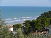 Locations vacances Foggia (Province De): appartement n 101780