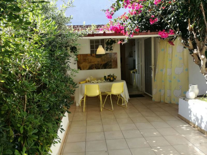 photo 11 Location entre particuliers Ostuni appartement Pouilles Brindisi (province de) Cour