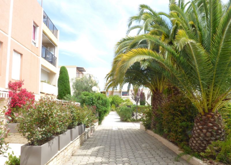 photo 18 Location entre particuliers Bandol appartement Provence-Alpes-Cte d'Azur Var Jardin