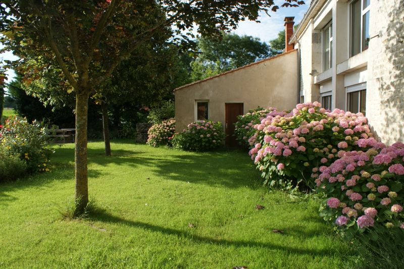 photo 18 Location entre particuliers La Rochelle gite Poitou-Charentes Charente-Maritime Jardin