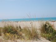 Locations vacances Maremma: studio n 108463