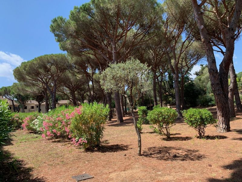 photo 16 Location entre particuliers Les Issambres appartement Provence-Alpes-Cte d'Azur Var Jardin