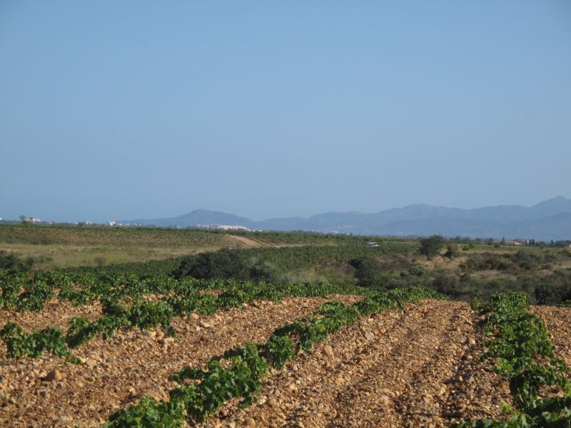 photo 23 Location entre particuliers Canet-en-Roussillon appartement Languedoc-Roussillon Pyrnes-Orientales Vue  proximit