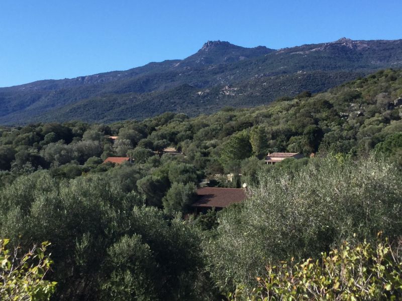 photo 20 Location entre particuliers Bonifacio maison Corse Corse du Sud Vue depuis la location