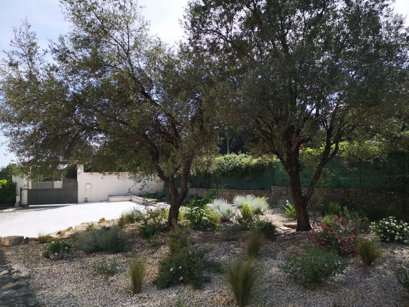 photo 1 Location entre particuliers Saint-Martin-de-Valgalgues maison Languedoc-Roussillon Gard Jardin