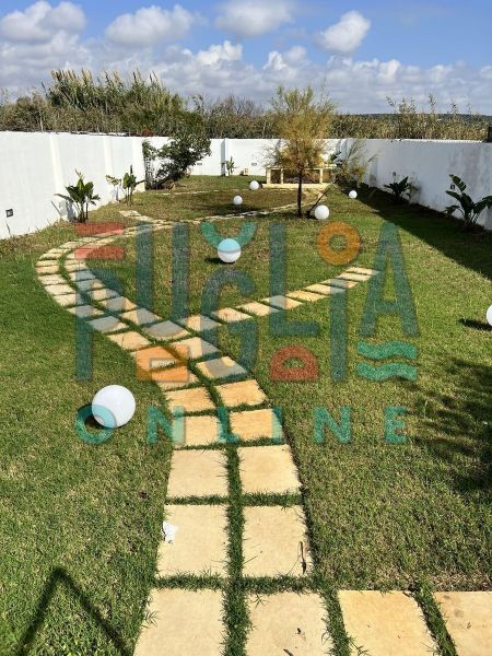 photo 25 Location entre particuliers Torre Mozza appartement Pouilles Lecce (province de) Jardin