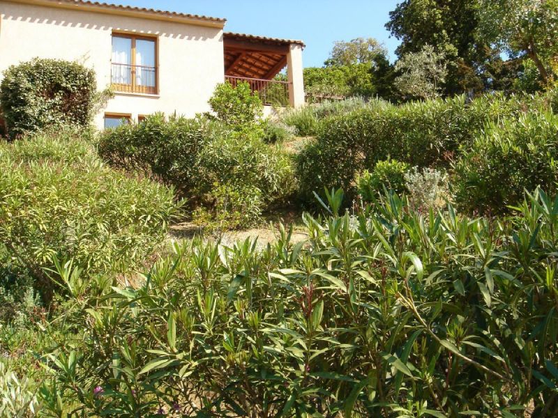 photo 17 Location entre particuliers Porticcio maison Corse Corse du Sud Jardin