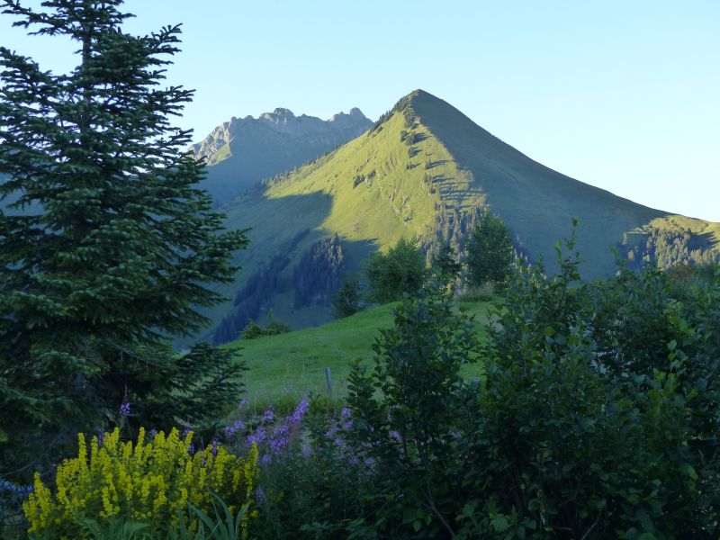 photo 12 Location entre particuliers Praz de Lys Sommand chalet Rhne-Alpes Haute-Savoie Vue de la terrasse