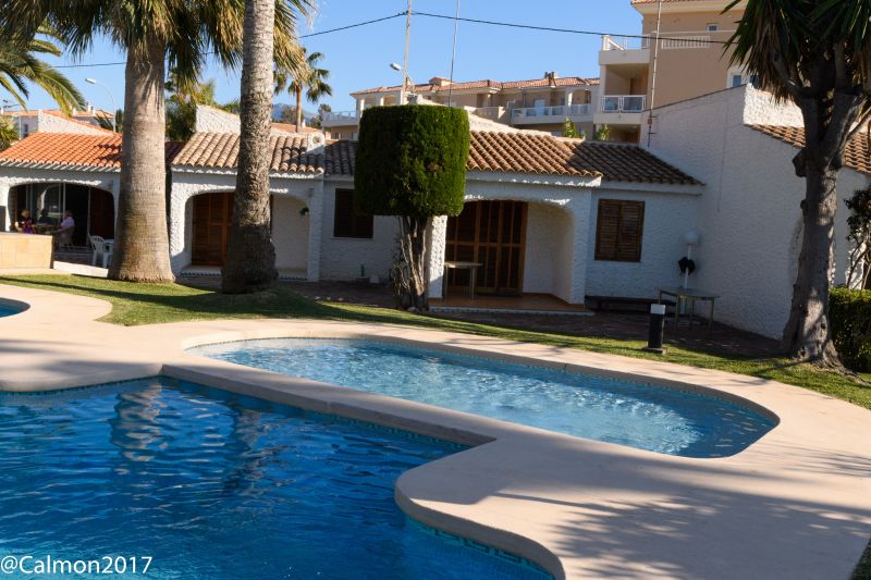 photo 3 Location entre particuliers Dnia bungalow Communaut Valencienne Alicante (province de) Piscine