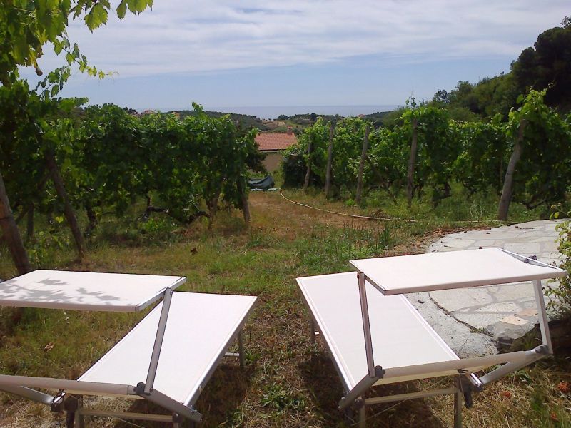 photo 1 Location entre particuliers Imperia appartement Ligurie Imperia (province d') Jardin