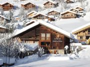 Locations vacances Praz Sur Arly: appartement n 80429