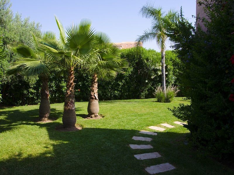 photo 1 Location entre particuliers Marrakech villa   Jardin