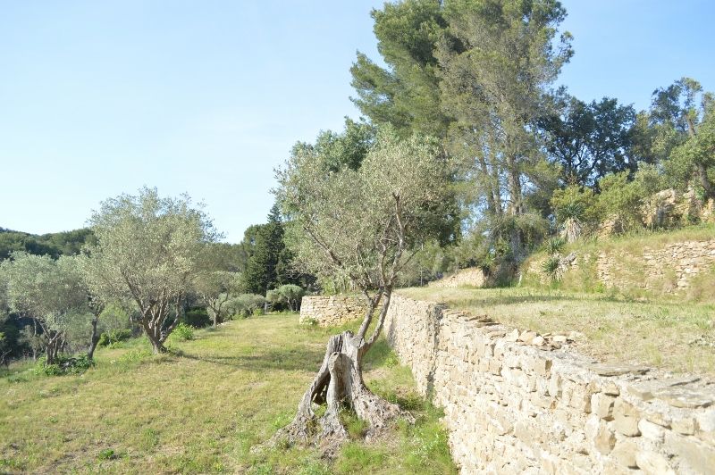 photo 25 Location entre particuliers La Ciotat gite Provence-Alpes-Cte d'Azur Bouches du Rhne Jardin