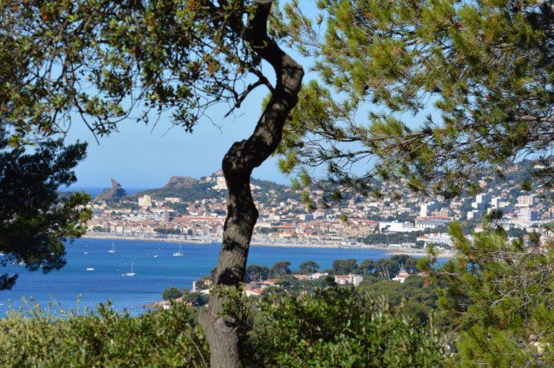 photo 2 Location entre particuliers La Ciotat gite Provence-Alpes-Cte d'Azur Bouches du Rhne Vue de la terrasse