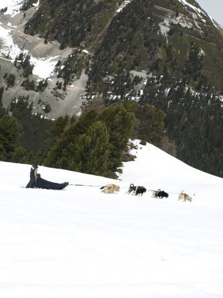 photo 24 Location entre particuliers La Plagne studio Rhne-Alpes Savoie Vue  proximit