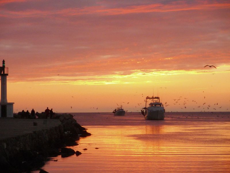 photo 23 Location entre particuliers Le Grau du Roi appartement Languedoc-Roussillon Gard Vue  proximit