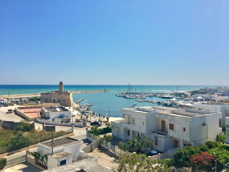 photo 0 Location entre particuliers Ostuni appartement Pouilles Brindisi (province de) Vue de la terrasse